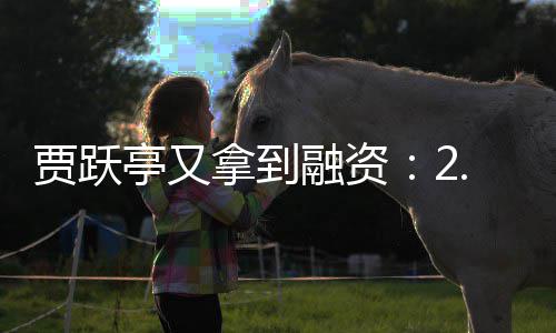 拿到5亿元到等融资亭又账 再等回国还要贾跃